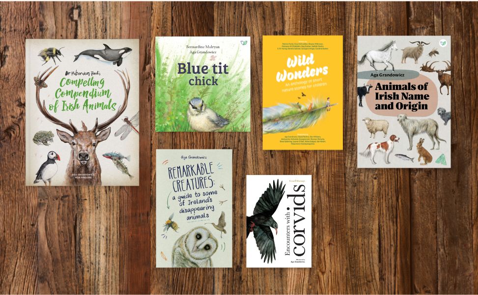 Books designed and illustrated by Aga Grandowicz.