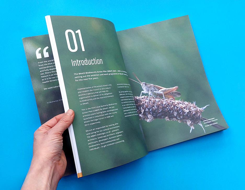 Meath-Biodiversity-Action-Plan_design-and-artwork-by-Aga-Grandowicz_1.