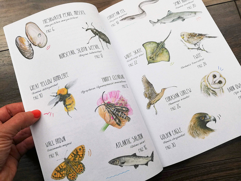 Remarkable Creatures: a guide to some of Ireland’s disappearing animals - index page from the book by Aga Grandowicz.