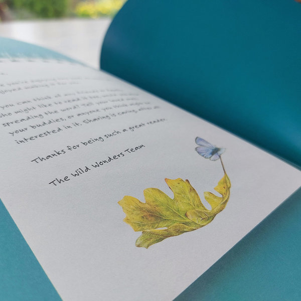 Aga-Grandowicz's-illustration-to-Wild-Wonders-an-anthology-of-short-nature-stories-for-children_a-blue-butterfly-on-a-leaf