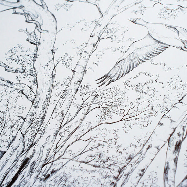 Trees and birds drawings by Aga Grandowicz