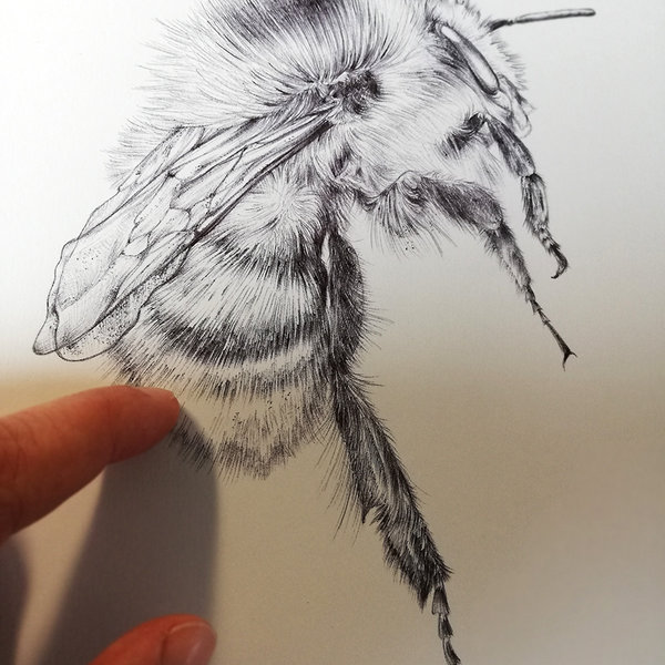 Bee art by Aga Grandowicz.jpg