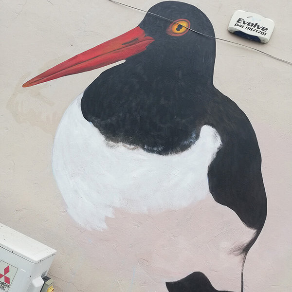 Oystercatcher mural in Dun Laoghaire by Aga Grandowicz_wip1