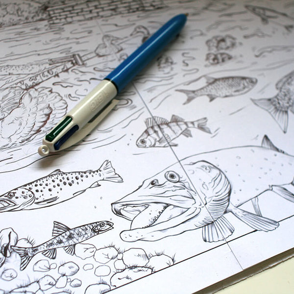 Blackwater habitat – fish drawings by Aga Grandowicz, photo 1