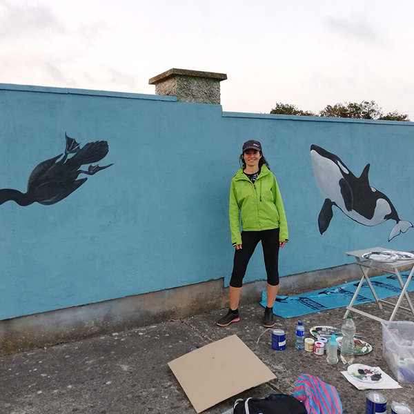 mural_in_greystones_orca_and_cormorant_by_aga-grandowicz.jpg