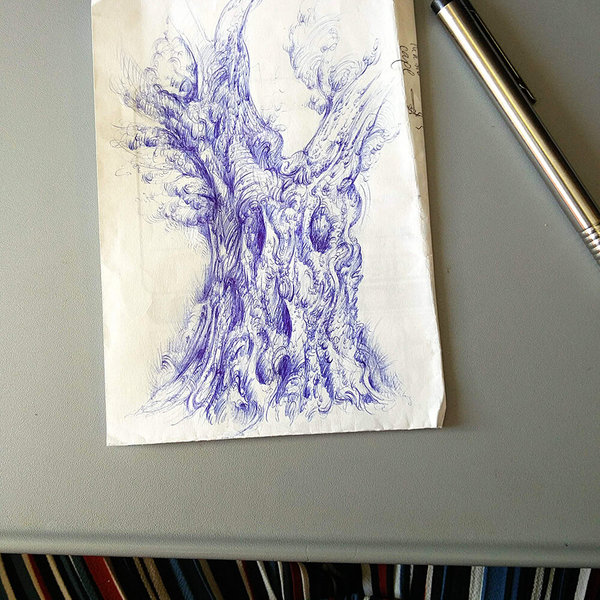 Drawing of an olive tree by Aga Grandowicz, photo 2