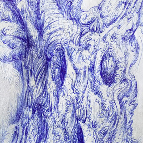 Drawing of an olive tree by Aga Grandowicz, photo 2, closeup
