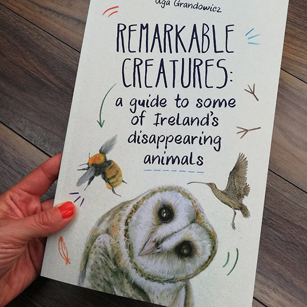 Remarkable Creatures: a guide to some of Ireland’s disappearing animals_cover.jpg