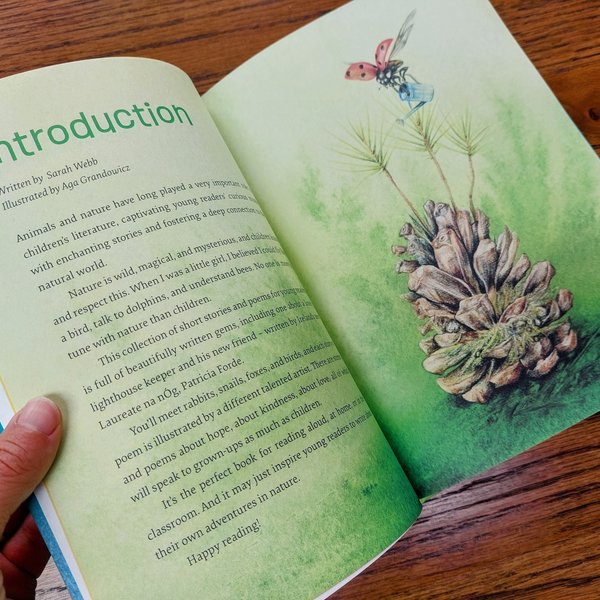 Aga-Grandowicz's-illustration-to-Wild-Wonders-an-anthology-of-short-nature-stories-for-children_ladybird and pine cone