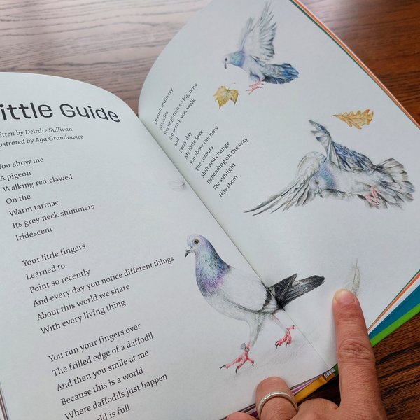 Aga-Grandowicz's-illustration-to-Wild-Wonders-an-anthology-of-short-nature-stories-for-children_pigeons