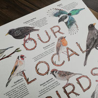 Info board featuring a selection of European birds – artwork by Aga Grandowicz