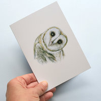 Greeting card, A5 folded to A6, with wildlife illustration of a barn owl.