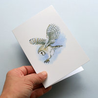 Greeting card, A5 folded to A6, with wildlife illustration of a barn owl.