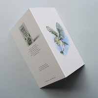 Greeting card, A5 folded to A6, with wildlife illustration of a barn owl_sides).