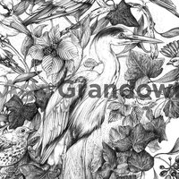 Wildlife illustration featuring various European birds – by Aga Grandowicz