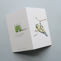 A6 CARD – blue tit hanging from a tree branch_open