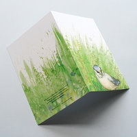 A6 CARD – blue tit chick – open.