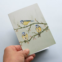 A6 CARD – blue tits sitting on a tree branch_front.