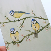 A6 CARD – blue tits sitting on a tree branch_front_close-up.