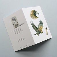 Greeting card, A5 folded to A6, with wildlife illustration of a golden eagle 1