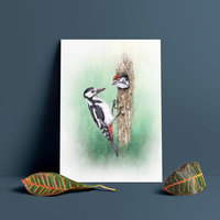 Great spotted woodpecker – A4 art prints by Aga Grandowicz.