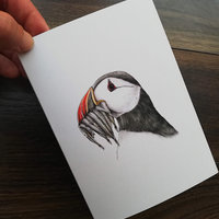 Greeting card A6 (folded A5) – Atlantic puffin, illustration by Aga Grandowicz.