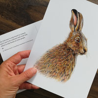 CARD – Irish hare, as featured in 'Dr Hibernica Finch's Compelling Compendium ..