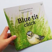Blue tit chick – children's book by Bernardine Mulryan and Aga Grandowicz_FC