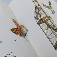 Blue tit chick – children's book by Bernardine Mulryan and Aga Grandowicz_s4