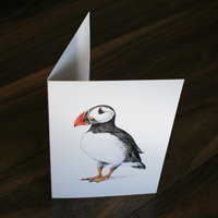CARD – Wildlife illustration of a puffin, as featured in 'Dr Hibernica Finch’s C