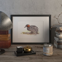 Little grebe duck – original artwork by Aga Grandowicz.