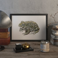 Natterjack toad – original artwork by Aga Grandowicz