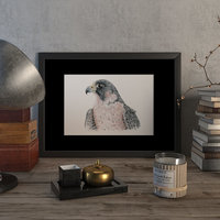 Peregrine falcon #1 – original artwork