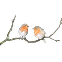 TWO ROBINS ON A BRANCH – A4 AND A4 ART PRINTS by Aga Grandowicz.