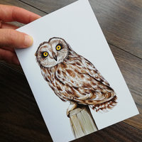 Short-eared-owl-artwork-greeting-card-by-aga-grandowicz_2