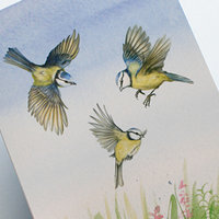 A6 CARD – three blue tits – close-up.