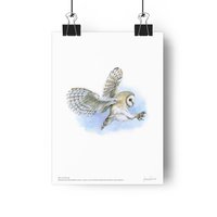 Flying barn owl – Giclée Art Print