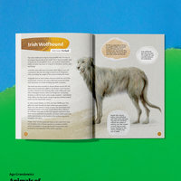 Animals of Irish Name and Origin – book