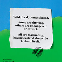 Animals of Irish Name and Origin – book