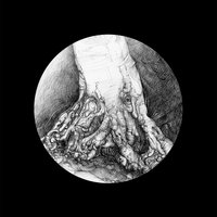 Trees of Marlay Park #2, fine art prints, limited edition for each size (20)