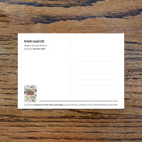 Irish coal tit, A6 CARD