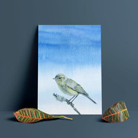 Common chiffchaff – A4 Art Print