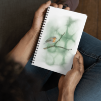 Robin on a branch – Spiral Journal (EU)