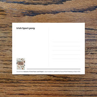 Irish Sport pony, A6 CARD