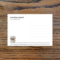 Irish Water Spaniel, A6 CARD