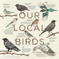 Our Local Birds – information board