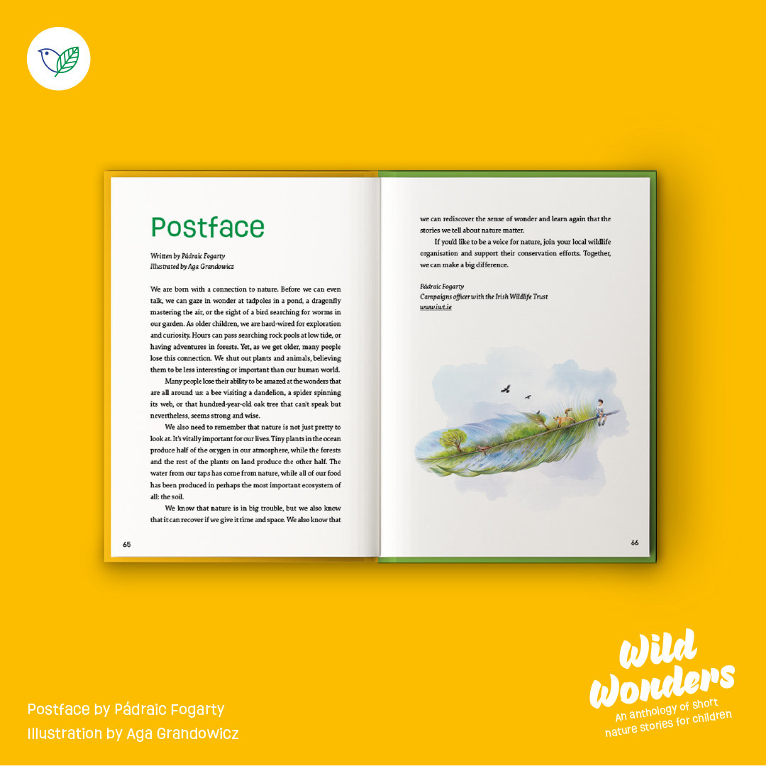 'Wild Wonders', Pádraic Fogarty, Aga Grandowicz