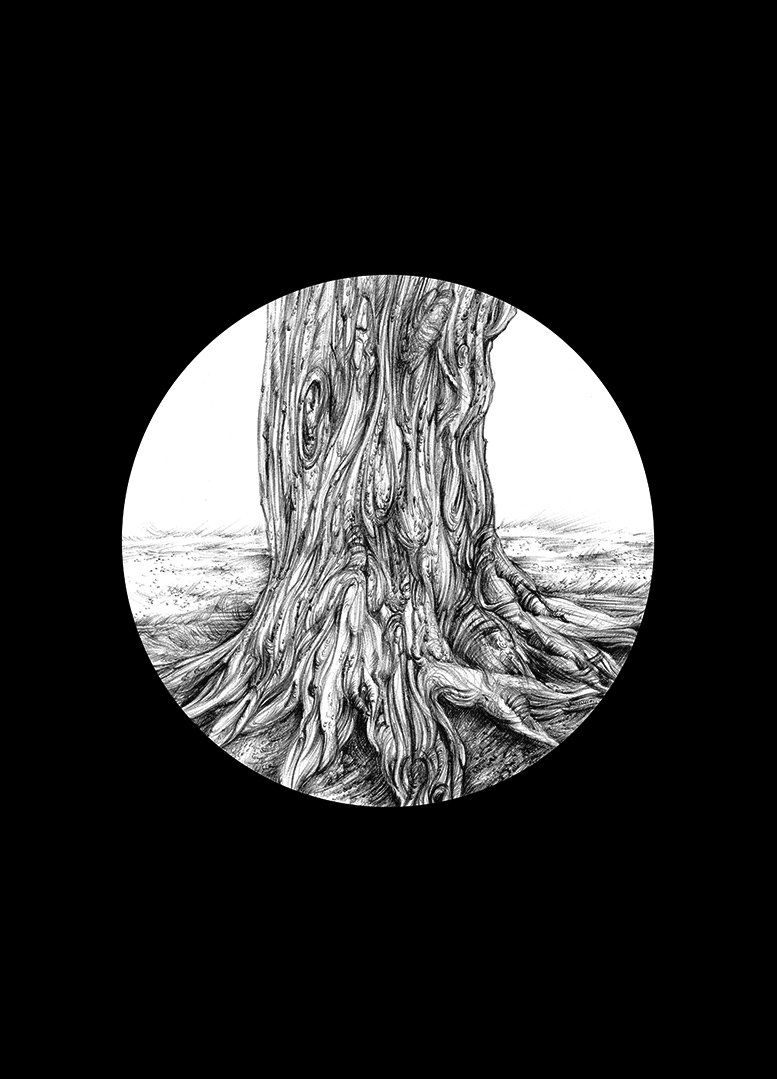 Trees of Marlay Park #1, A4 fine art print from a drawing