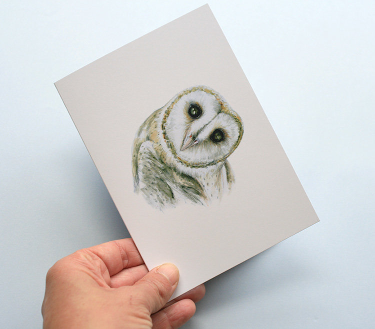 Greeting card, A5 folded to A6, with wildlife illustration of a barn owl.