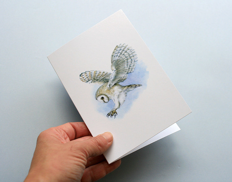 Greeting card, A5 folded to A6, with wildlife illustration of a barn owl.